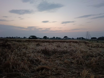  Agricultural Land for Sale in Orai, Jalaun
