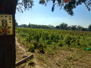  Agricultural Land for Rent in Vasad, Anand