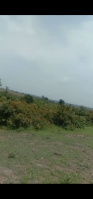  Commercial Land for Sale in Nainpur, Mandla