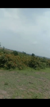  Commercial Land for Sale in Nainpur, Mandla