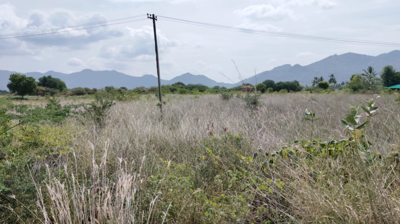  Agricultural Land 1 Acre for Sale in Thuraiyur, Tiruchirappalli