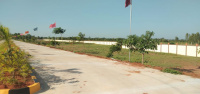  Residential Plot for Sale in Sengipatti, Thanjavur