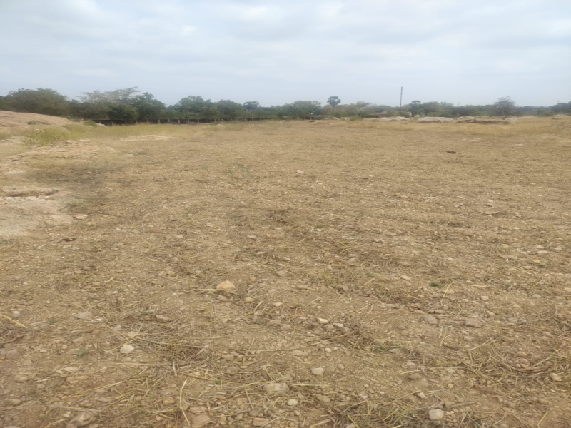 Samayapuram, Tiruchirappalli photo 3
