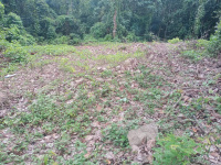  Residential Plot for Sale in Mallappally, Pathanamthitta