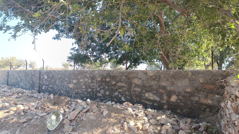  Residential Plot 248000 Sq.ft. for Sale in Mavli, Udaipur