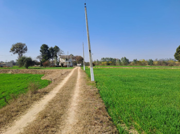  Agricultural Land for Sale in Gunupur, Rayagada