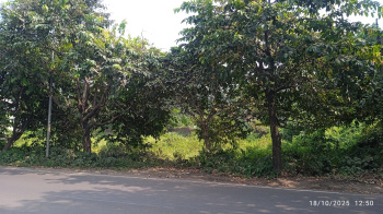  Residential Plot for Sale in Kanyapur, Asansol