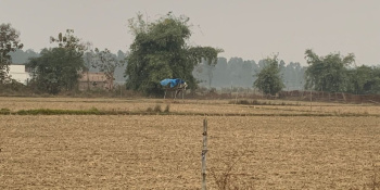  Agricultural Land for Rent in Amarwara, Chhindwara