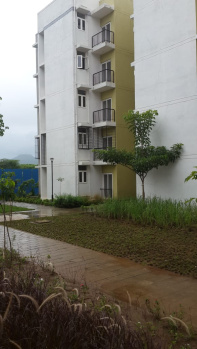 1 BHK Flat for Sale in Hinjewadi Phase 1, Pune