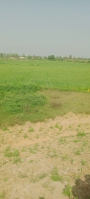 Agricultural Land for Sale in Khurja, Bulandshahr