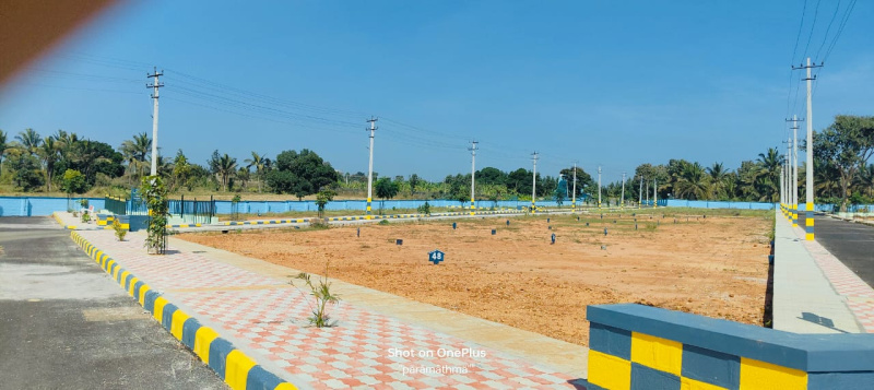  Residential Plot 167 Sq. Yards for Sale in Lankelapalem, Visakhapatnam