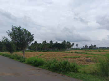  Residential Plot for Sale in Nagercoil, Kanyakumari