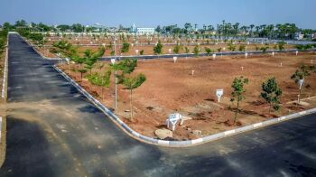 Agricultural Land for Sale in Kallal, Sivaganga