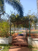 Residential Plot for Sale in Kapuluppada, Visakhapatnam