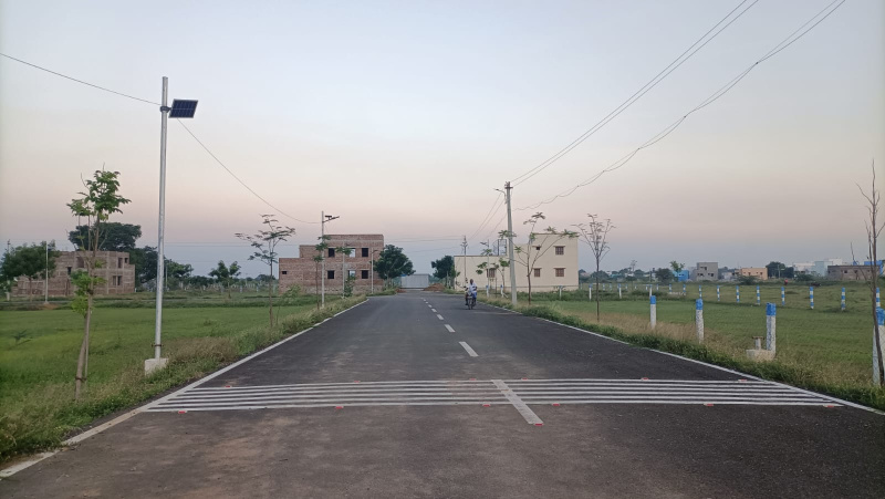  Residential Plot 1350 Sq.ft. for Sale in Sivakasi, Virudhunagar