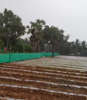  Agricultural Land for Sale in Manamadurai, Sivaganga