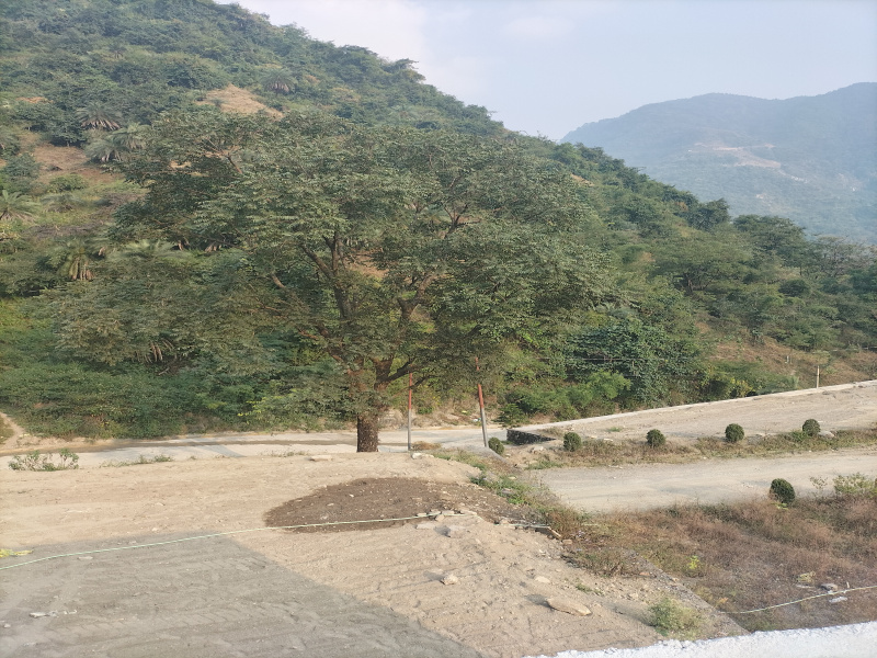  Residential Plot 500 Sq. Yards for Sale in Sahastradhara