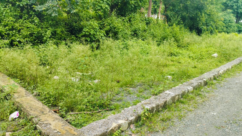  Residential Plot 100 Sq. Yards for Sale in Raipur, Dehradun