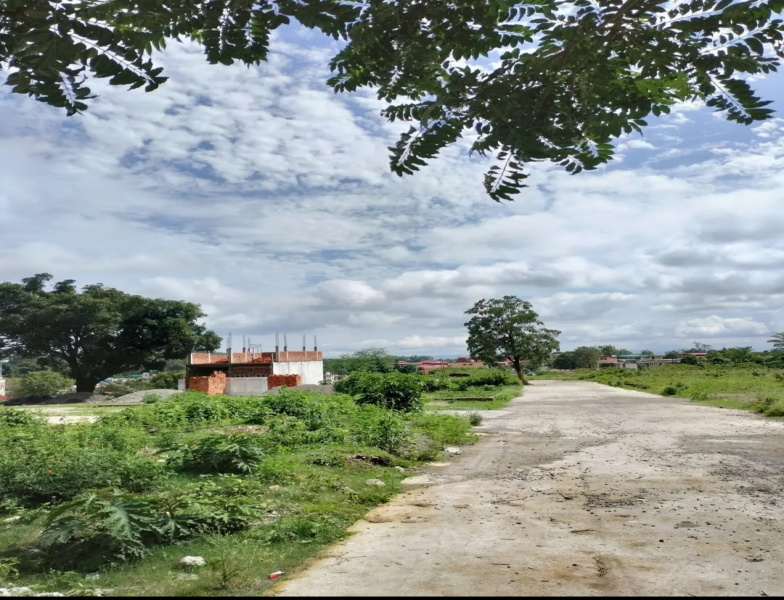  Residential Plot 140 Sq. Yards for Sale in Sahastradhara Road, Dehradun