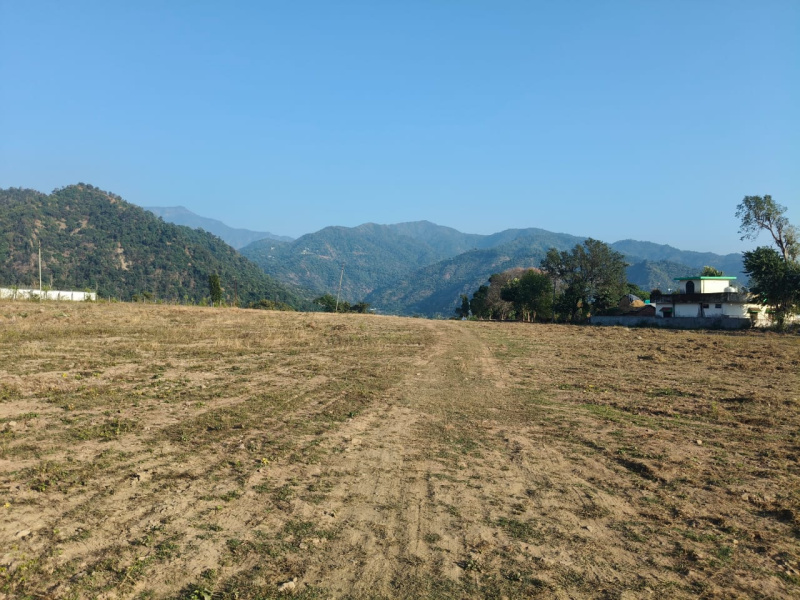  Residential Plot 250 Sq. Yards for Sale in Thano, Dehradun