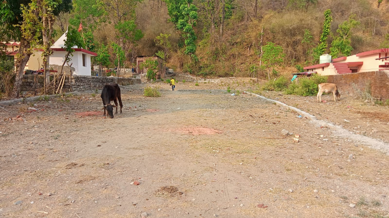  Residential Plot 901 Sq. Yards for Sale in Thano, Dehradun