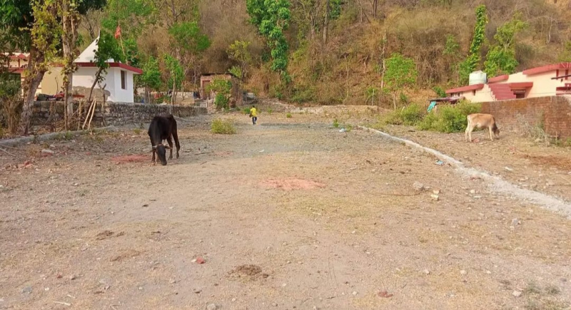  Residential Plot 901 Sq. Yards for Sale in Thano, Dehradun