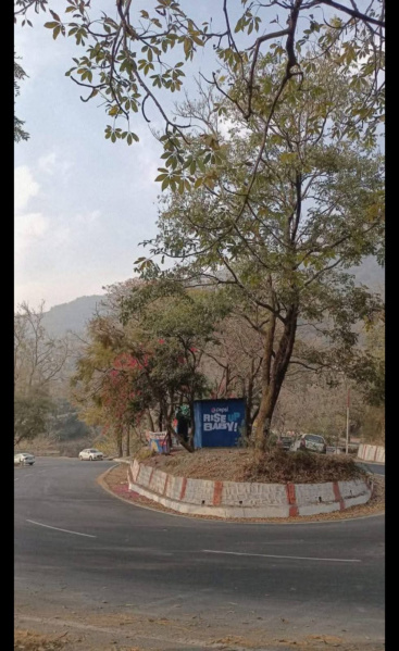  Residential Plot 435 Sq. Yards for Sale in Kuthal Gate, Dehradun, 