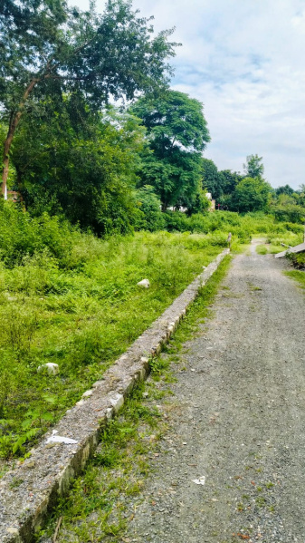  Residential Plot 300 Sq. Yards for Sale in Raipur Road, Dehradun