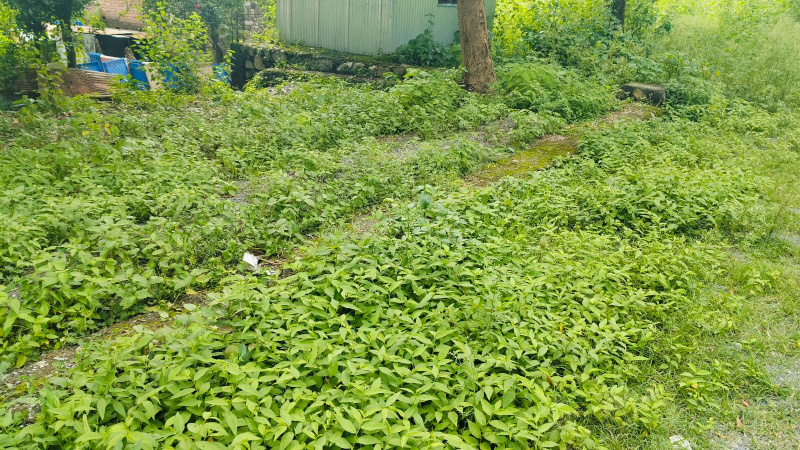  Residential Plot 300 Sq. Yards for Sale in Raipur Road, Dehradun