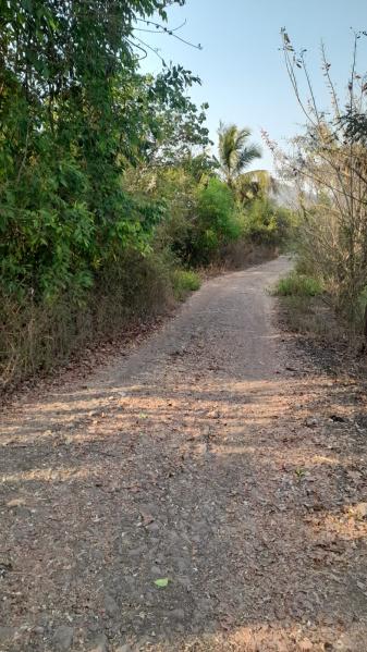  100 Guntha Agricultural/Farm Land for Sale in Alibag, Raigad