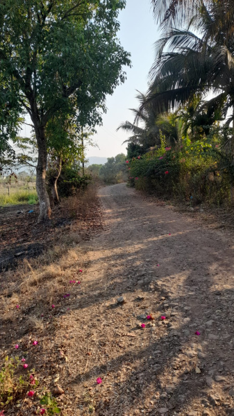  100 Guntha Agricultural/Farm Land for Sale in Alibag, Raigad