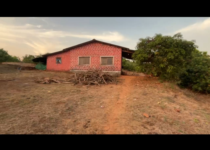  6 Acre Agricultural/Farm Land for Sale in Mangaon, Raigad