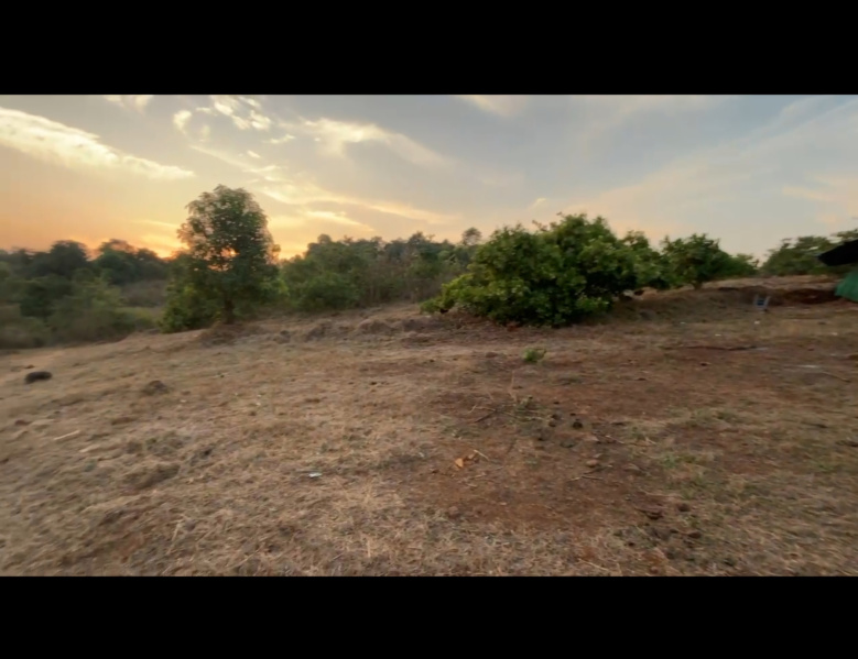  6 Acre Agricultural/Farm Land for Sale in Mangaon, Raigad