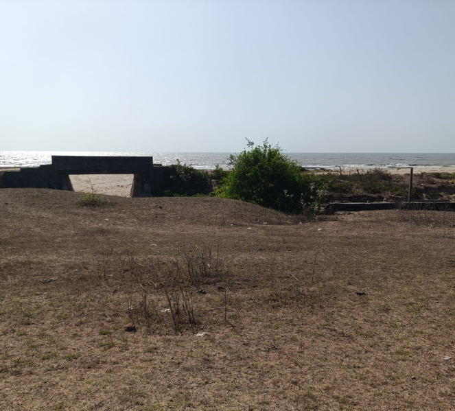  20 Guntha Agricultural/Farm Land for Sale in Alibag, Raigad