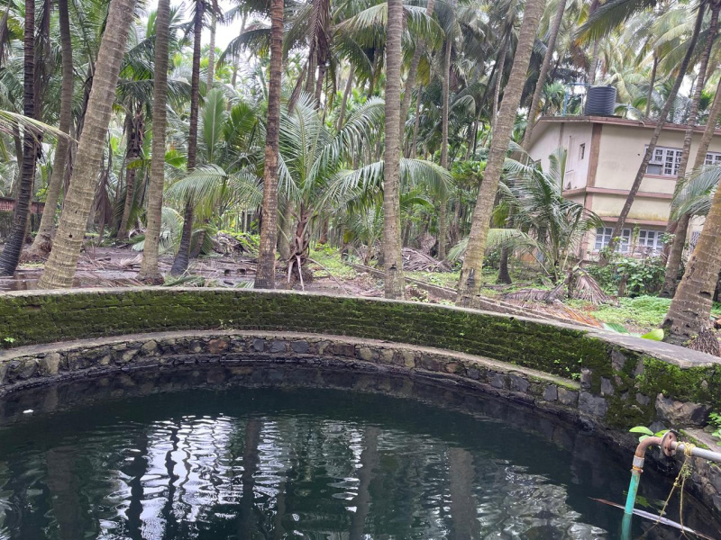  25 Guntha Agricultural/Farm Land for Sale in Murud, Raigad