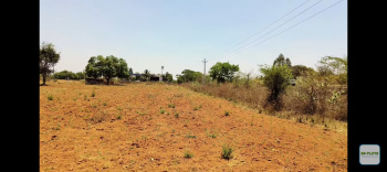  Agricultural Land for Sale in Kalkera, Koppal