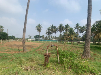  Agricultural Land for Rent in Uttarahalli, Bangalore