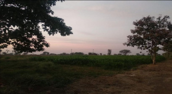 Agricultural Land for Sale in Kadgaon, Jalgaon