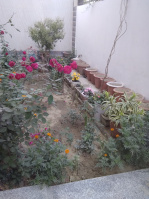 3 BHK Builder Floor for Rent in Ratapur, RaeBareli