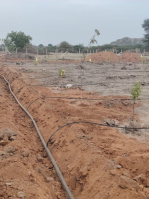  Agricultural Land for Sale in Jadcherla, Mahbubnagar