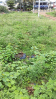  Residential Plot for Sale in Harihar, Davanagere