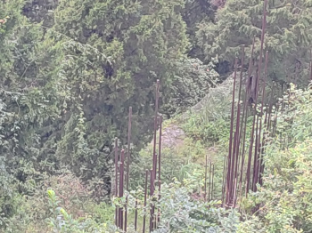  Hotels for Sale in Chotta Shimla
