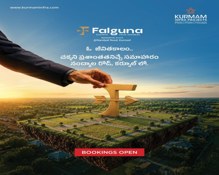 Nannur, Kurnool photo 5