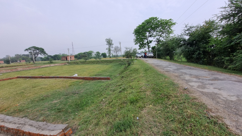  Residential Plot 1000 Sq.ft. for Sale in Ayodhya Bypass, Faizabad