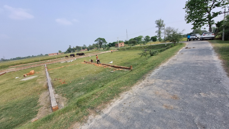  Residential Plot 1000 Sq.ft. for Sale in Ayodhya Bypass, Faizabad