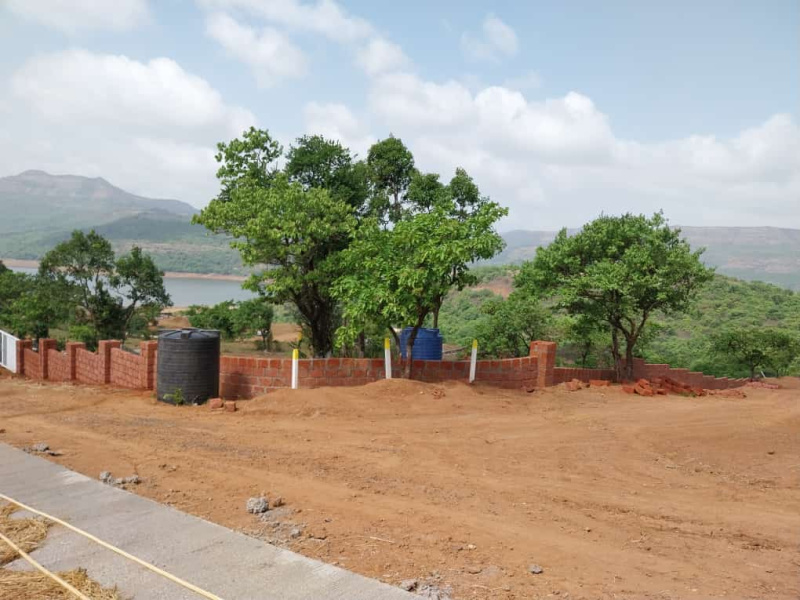  Agricultural Land 11000 Sq.ft. for Sale in Mulshi, Pune