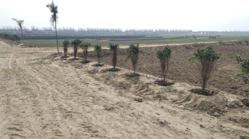  Residential Plot for Sale in Maniram, Gorakhpur