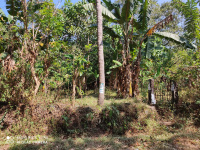  Agricultural Land for Sale in Valarkkavu, Thrissur