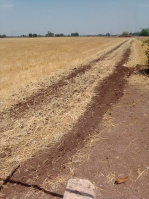  Agricultural Land for Sale in Dhoraji, Rajkot