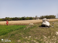  Agricultural Land for Sale in Sandila, Hardoi